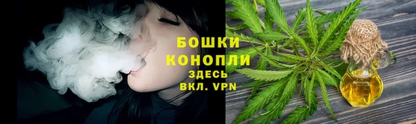 ECSTASY Магас