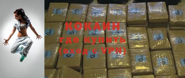 тгк Абаза