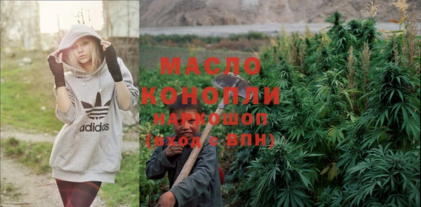 тгк Абаза