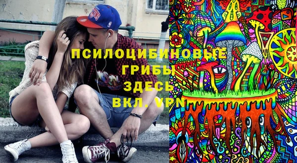 тгк Абаза
