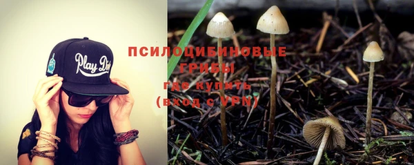 тгк Абаза