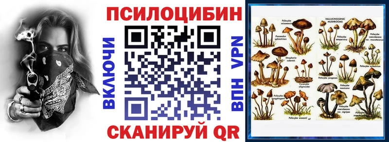 Псилоцибиновые грибы мицелий  Южноуральск 